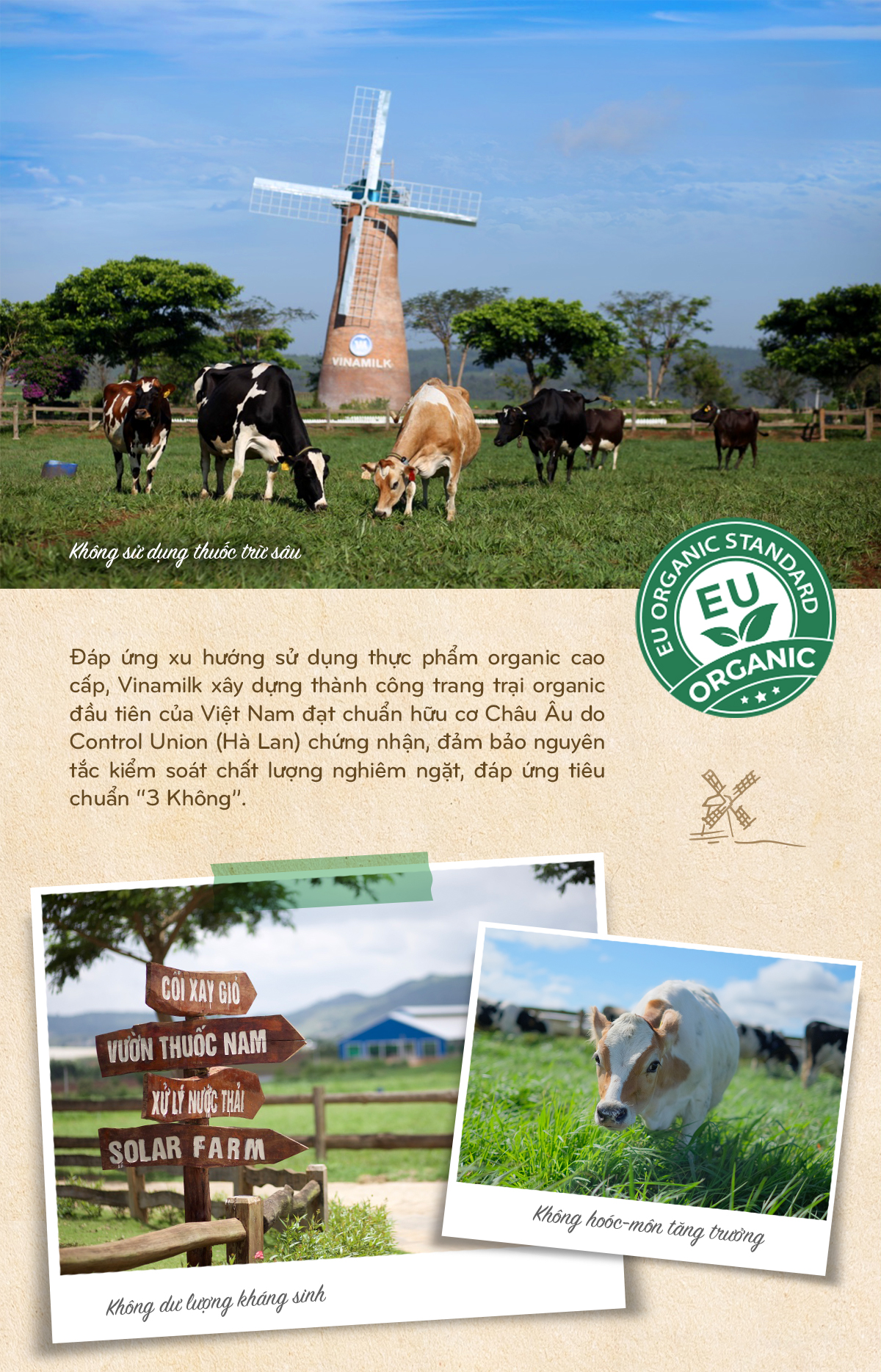Vinamilk: 15 năm xây hệ thống trang trại bò sữa với “bộ sưu tập” tiêu chuẩn quốc tế - Ảnh 10